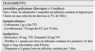 Revista M Dico Cient Fica Luz Y Vida Ophidic Accident Ca Used By